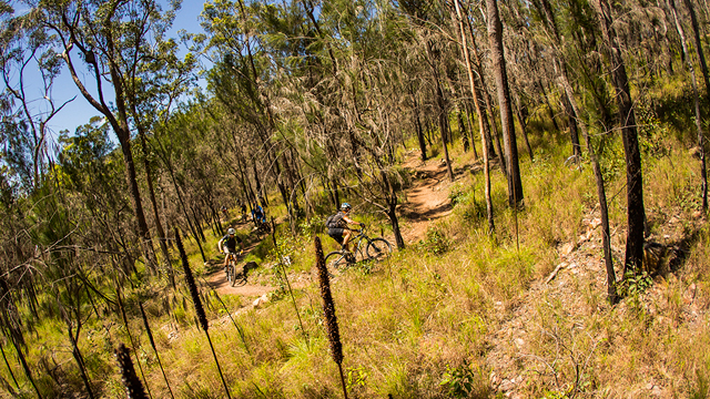 Atherton in Queensland is spending up big on mountain biking infrastructure for all skill levels (Tim Bardsley-Smith)