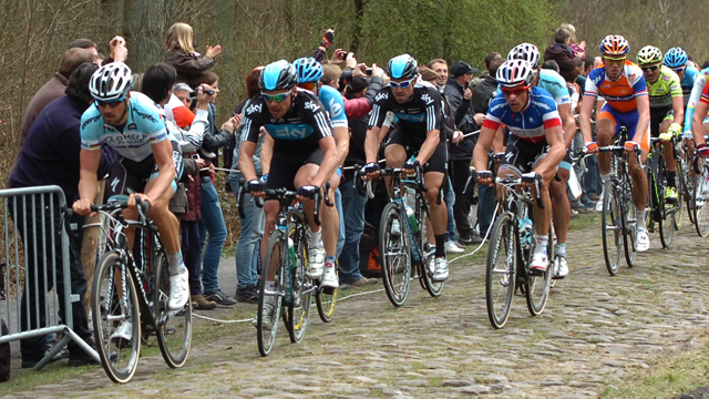 Tom Boonen leads the peloton through the Forest of Arenberg (Sirotti)