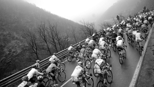 The peloton rides during 101st Milan-SanRemo (Getty)
