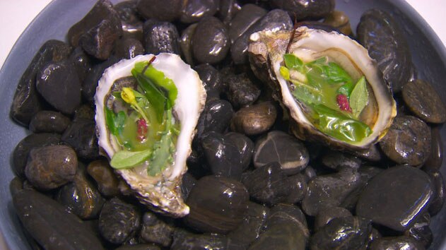 Oysters and succulents