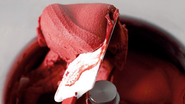 Fruit sorbet