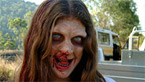 Monday film: Undead