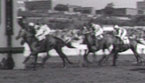 From Cunnamulla to Paris (Living Black, SBS)