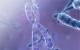 play [Do companies have the right to patent human genes?]