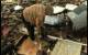 play [Tornado survivor finds dog in the rubble]