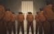 play [Guantanamo: Myth vs Reality]