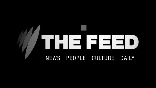 The Feed October 17