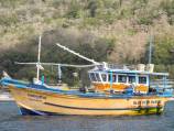 Most boat arrivals are refugees: government data