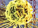 'Secret life' of cancer tumour tracked