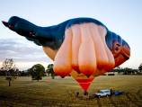Canberra's Skywhale 'may cost taxpayers $300,000'