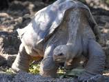 Google captures Galapagos Island beauty