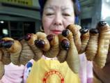 Comment: Why eating insects is good for you