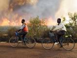 Malian army accused of exuections