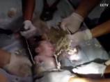 'Miracle' as baby rescued from sewage pipe in China