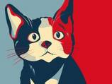 Cat runs for mayor of Mexican city