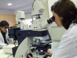 Self-healing brain study offers Alzheimer's hope