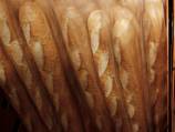 Comment: Average salt content of bread falls by 20%