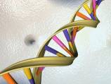 DNA breakthrough 'spelt double trouble for Nobels'