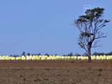 Cotton pesticide 'impacting on people's health'
