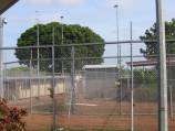 Escaped asylum seekers back in detention