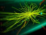 After Higgs boson, the spotlight turns to dark matter