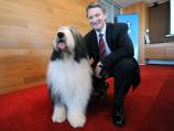 Dulux says more rate cuts could be needed