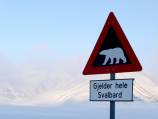 Slovenian flyer completes Arctic voyage
