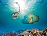 Barrier Reef vies for heritage listing