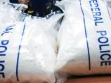 Bolivia lauds victory for coca leaf use