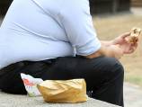 Fast food to remain tax free: Plibersek