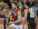 Watson leads Bombers to 29-point AFL win