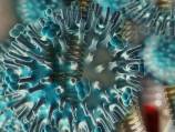 Facts about flu: H1N1, H5N1, H7N9? What does it all mean?