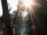 Analysis: Why the global environmental movement is failing