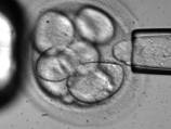 Scientists reveal human 'cloning' milestone