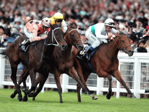 Australia's champion mare, Black Caviar, left, won her 22th consecutive race at Ascot on Saturday (AP)