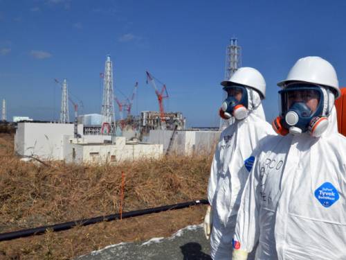 Around 12 per cent of pale grass blue butterflies that were exposed to nuclear fallout as larvae immediately after the tsunami-sparked disaster had abnormalities, researchers claim. (Getty Images)