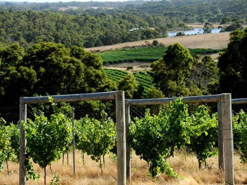 Coal mining will not be allowed in and around Margaret River, West Australian resources minister Norman Moore says. (Getty Images)