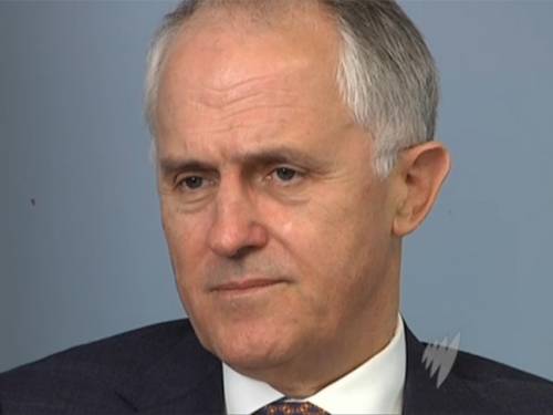 Mr Turnbull said it was 'pathetically sad' the government had gone to all the trouble to have a greater voice on the UN security council but would abstain from the general assembly vote on the issue.