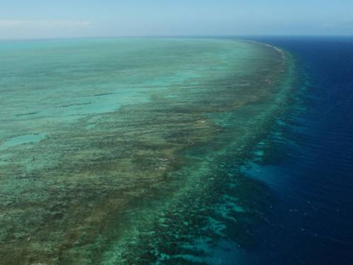 The Great Barrier Reef is not the only coastal area in need of protection