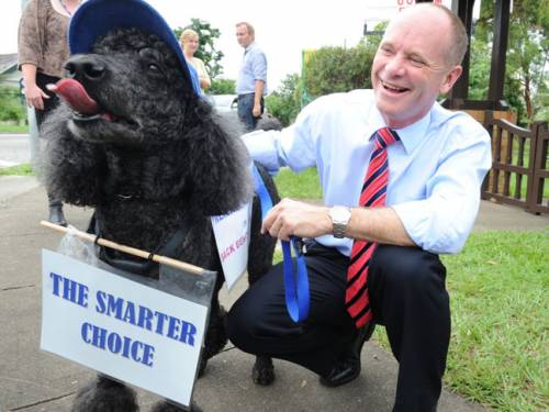 LNP leader Campbell Newman in Ashgrove. (AAP)