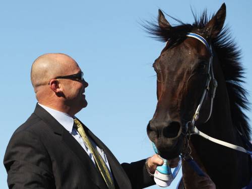 Black Caviar with Trainer Peter Moody. (Getty)