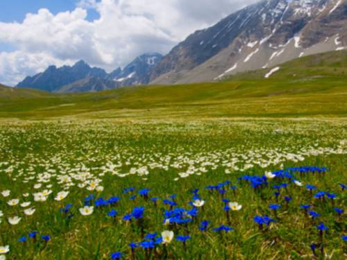French rangers told the Alea association it was forbidden to hold a religious event or play the saxophone in the Mercantour National Park. (Getty Images)
