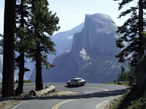 So far, at least six cases have been confirmed of hantavirus pulmonary syndrome in Yosemite National Park in the US. (Getty Images)