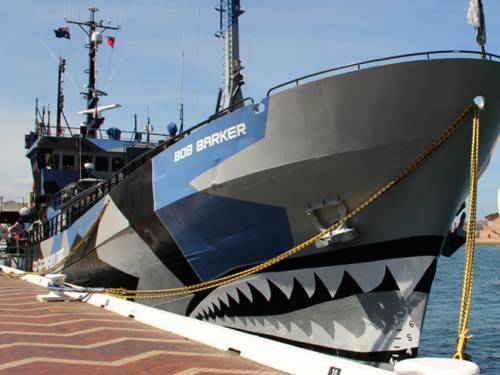 The Bob Barker docked in Sydney before heading to Hobart for the voyage to the Southern Ocean. (SBS)