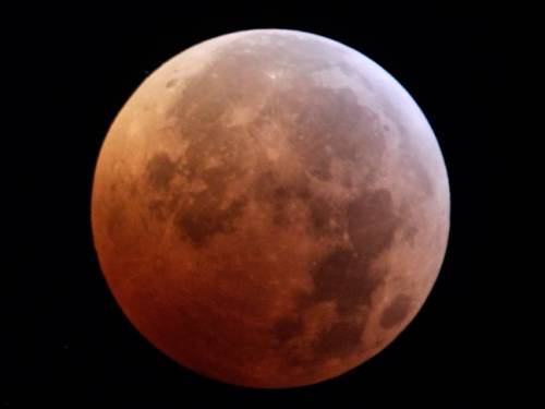 Chinese astronauts could one day grow fresh vegetables on Mars and the Moon after researchers successfully completed a preliminary test, state media report. (AAP)