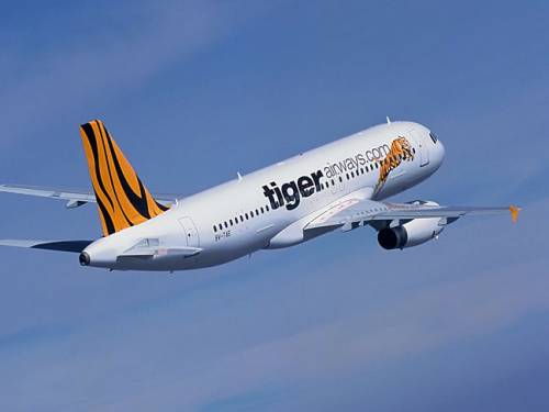 All Tiger Airways Australia domestic flights have been suspended. (AAP)