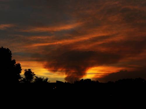 A large 40,000 hectare bush fire is burning in the Warrumbungle National Park. Fires have destroyed more than 30 homes in New South Wales. (FILE:AAP)