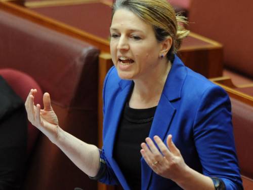 Senator Louise Pratt has told the Senate the law as it stands discriminates against her relationship and those of many other Australians. (AAP)