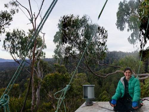 Environmental activist Miranda Gibson will spend her 209th day in the canopy of Tasmania's Tyenna Valley forest. (AAP)