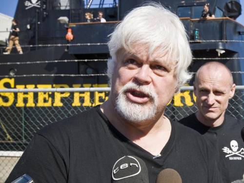 Sea Shepherd captain Paul Watson is facing extradition to Costa Rica. (AAP)